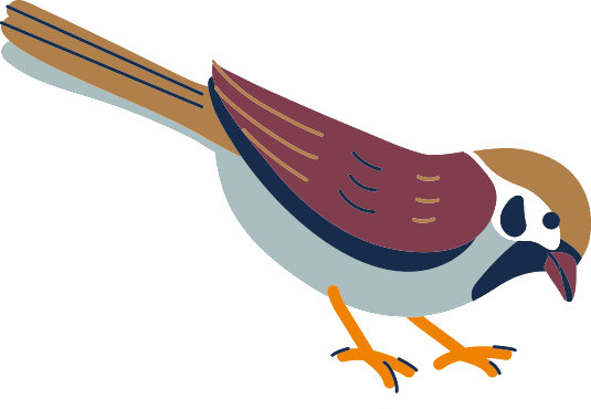 Illustration von Spatzen