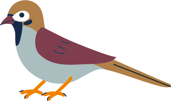 Illustration von Spatzen