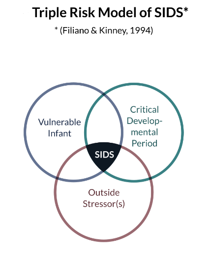 Sudden infant Death Syndrome – Don´t Forget the Guardian Angels ...