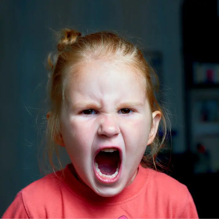 Alle reden von der Autonomiephase – um was geht es da eigentlich? (Gruppenticket)